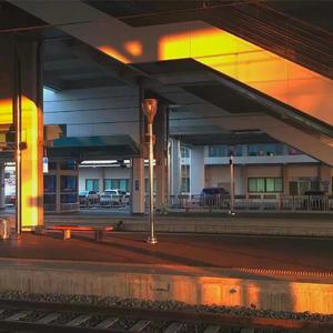 噼哩啪哩国语版电影免费观看
